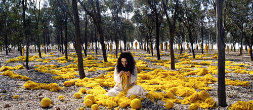 Rapture, Sussan Deyhim's score for Shirin Neshat's video installations