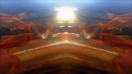 Little Ali's Dream Art Work by Sussan Deyhim